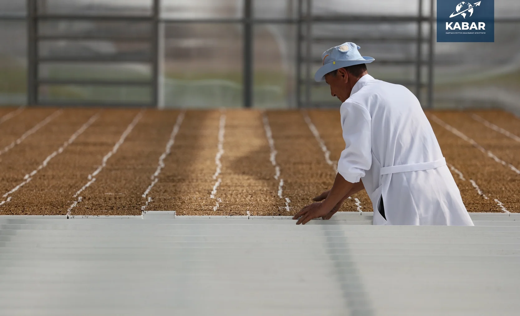 WhatsApp Image 2025-12-22 at 15.04.43.jpeg