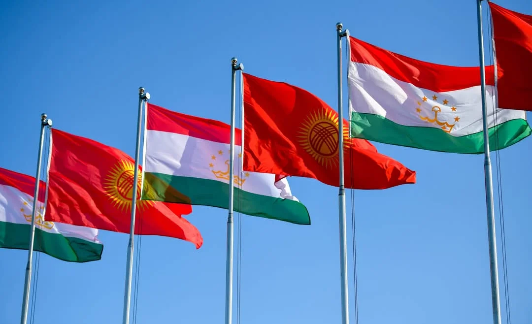 WhatsApp Image 2025-03-13 at 13.36.50.jpeg