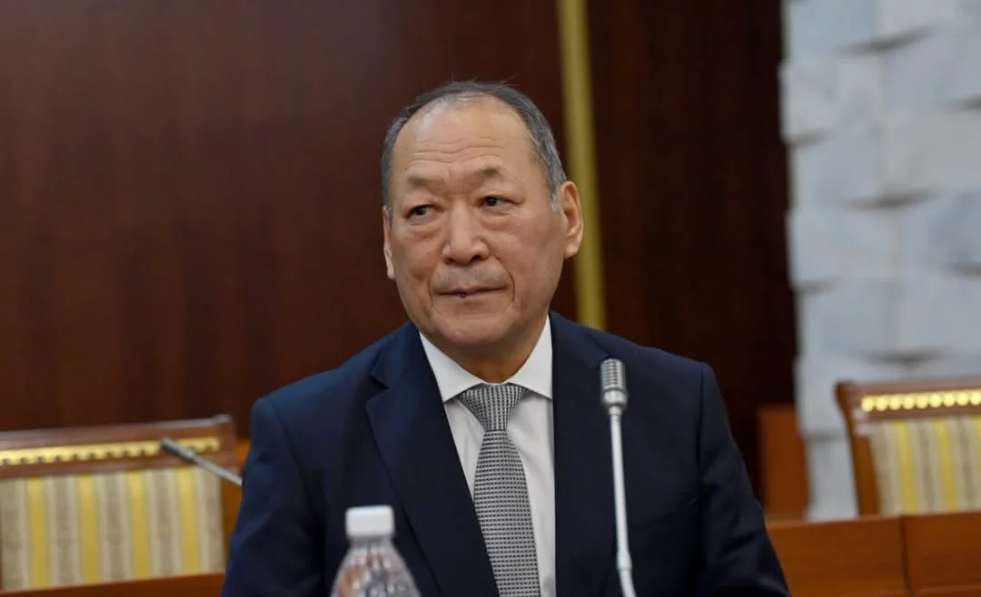 WhatsApp Image 2025-03-13 at 16.00.37.jpeg