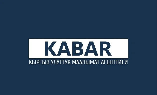 WhatsApp Image 2025-09-15 at 12.33.55.jpeg