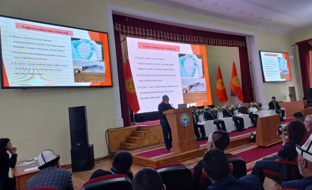 WhatsApp Image 2025-01-28 at 09.43.33.jpeg