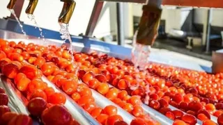 WhatsApp Image 2026-01-03 at 16.24.20.jpeg