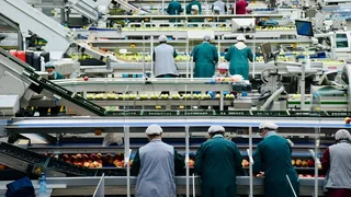 WhatsApp Image 2026-01-06 at 05.57.04.jpeg