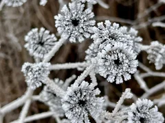 WhatsApp Image 2026-01-08 at 13.10.07.jpeg