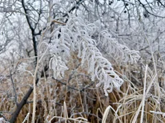 WhatsApp Image 2026-01-08 at 13.10.05.jpeg