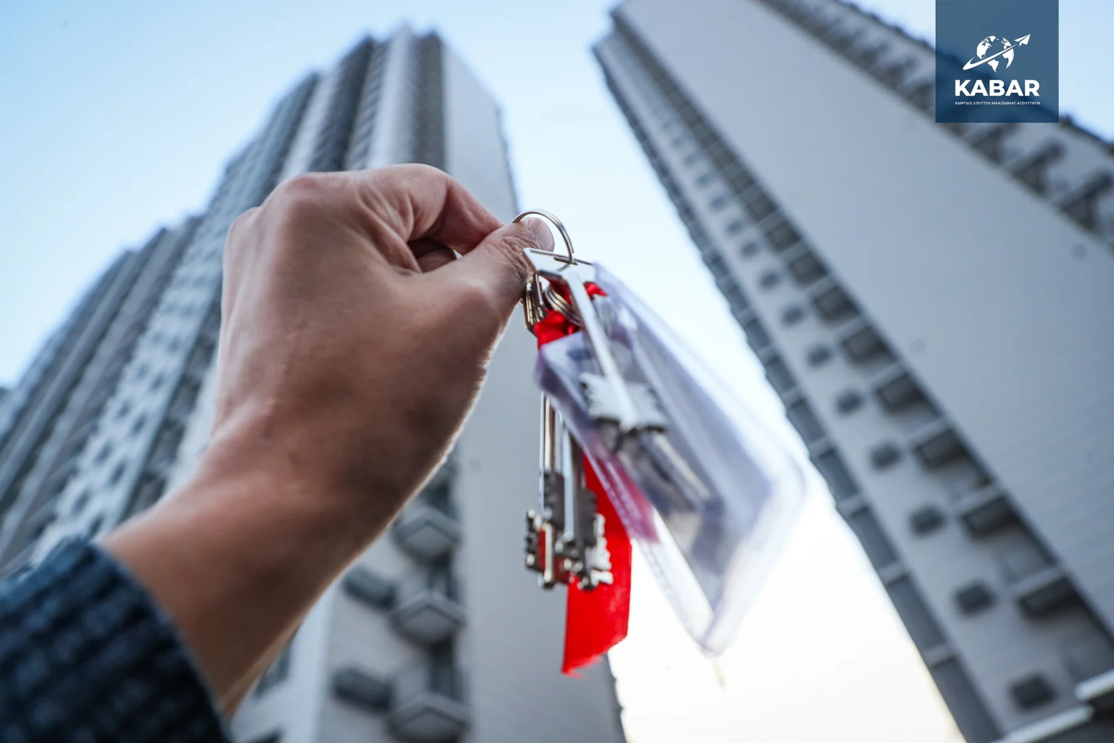 WhatsApp Image 2026-01-12 at 17.06.43 (6).jpeg