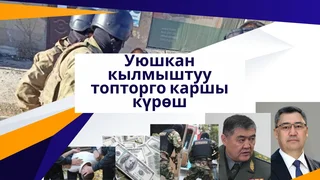 WhatsApp Image 2026-01-13 at 10.29.35.jpeg