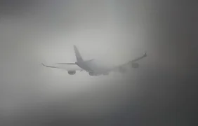 WhatsApp Image 2026-01-14 at 10.35.48.jpeg