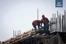 WhatsApp Image 2026-01-16 at 14.51.59.jpeg