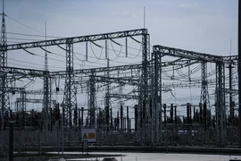 WhatsApp Image 2026-01-16 at 14.51.47 (1).jpeg