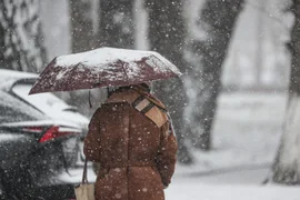 WhatsApp Image 2026-01-16 at 16.37.08.jpeg