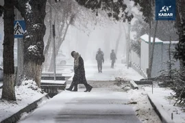 WhatsApp Image 2026-01-16 at 16.37.09.jpeg