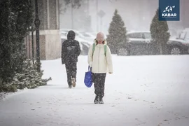 WhatsApp Image 2026-01-16 at 16.37.10.jpeg