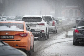 WhatsApp Image 2026-01-16 at 16.37.07.jpeg