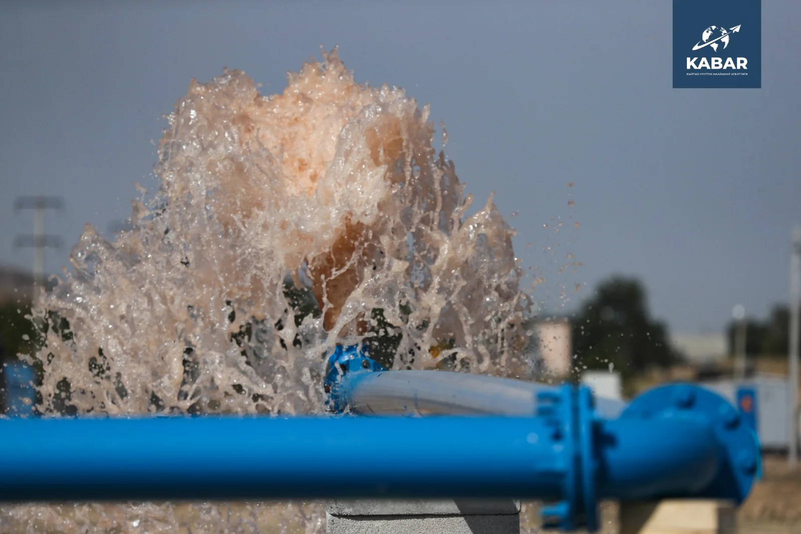 WhatsApp Image 2026-01-16 at 15.56.42.jpeg