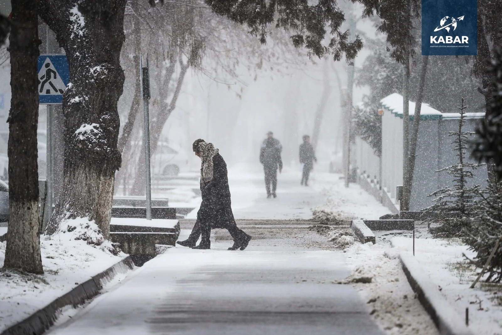 WhatsApp Image 2026-01-16 at 16.37.09.jpeg