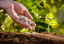 WhatsApp Image 2026-01-20 at 11.11.49.jpeg