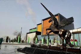 WhatsApp Image 2026-01-20 at 18.08.12.jpeg