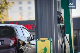 WhatsApp Image 2026-01-21 at 12.23.08.jpeg