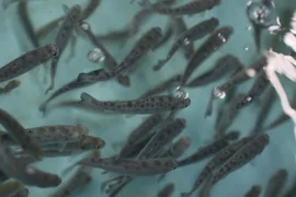 WhatsApp Image 2026-01-21 at 16.37.28.jpeg