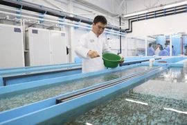 WhatsApp Image 2026-01-22 at 11.30.39.jpeg