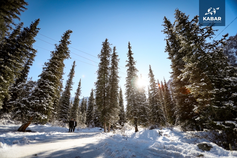 WhatsApp Image 2026-01-26 at 09.19.37