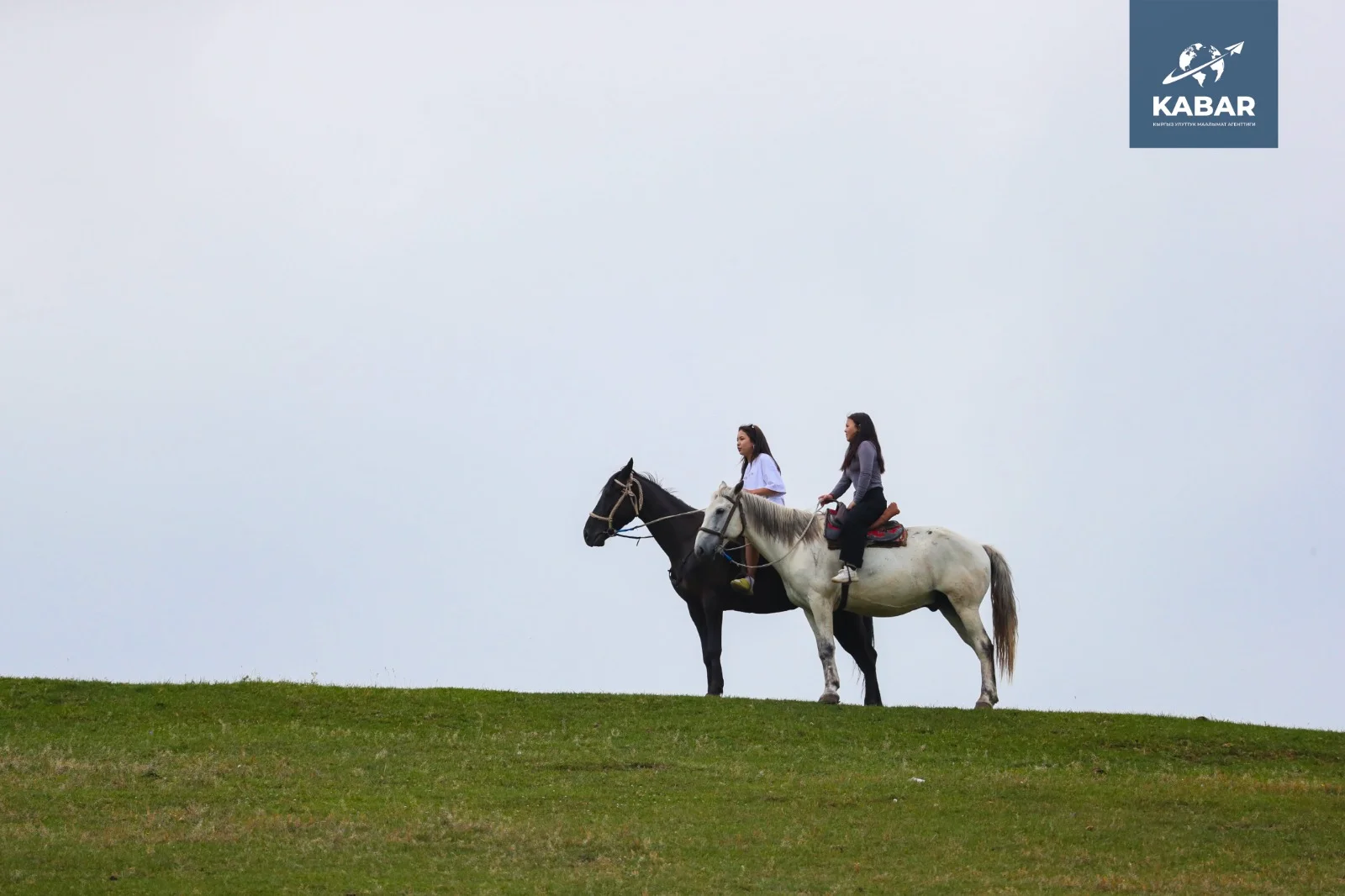 WhatsApp Image 2026-01-26 at 09.19.37 (1).jpeg