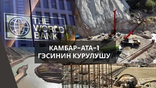 WhatsApp Image 2026-01-27 at 16.46.57.jpeg