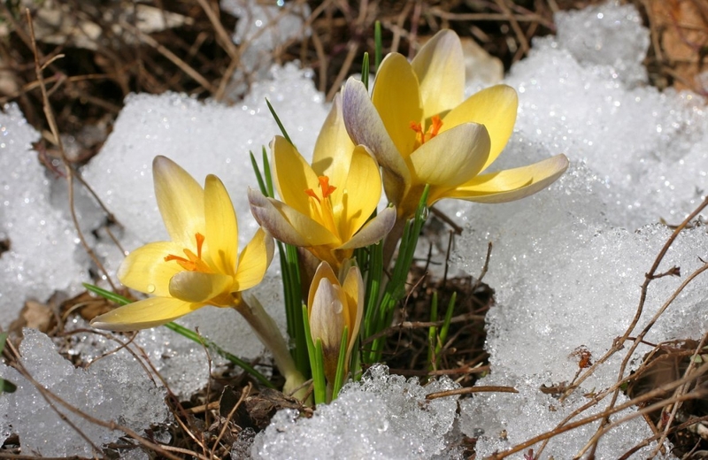 WhatsApp Image 2026-01-28 at 15.19.05.jpeg