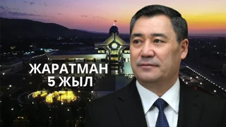 WhatsApp Image 2026-01-28 at 15.47.16.jpeg