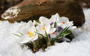 WhatsApp Image 2026-01-28 at 15.19.06.jpeg