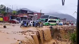 WhatsApp Image 2026-02-03 at 15.12.02.jpeg