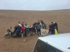 WhatsApp Image 2026-02-09 at 13.55.26 (1).jpeg