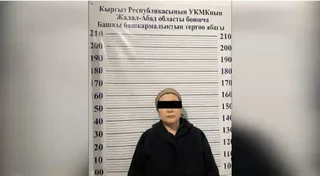 WhatsApp Image 2026-02-10 at 09.29.53.jpeg