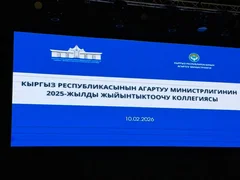 WhatsApp Image 2026-02-10 at 10.37.26.jpeg