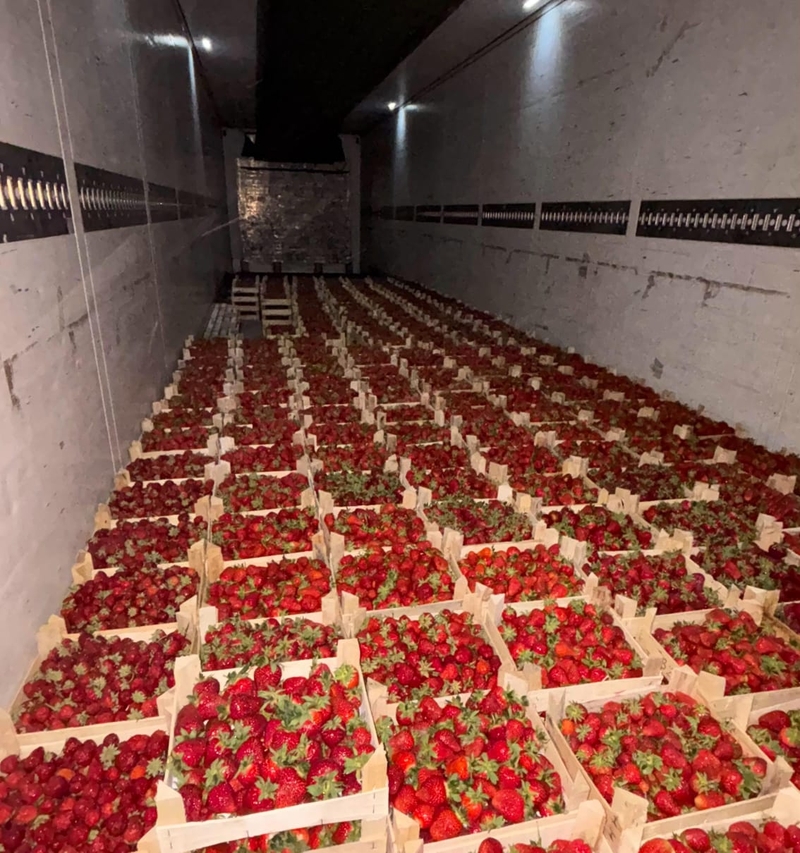 WhatsApp Image 2026-02-10 at 11.30.51