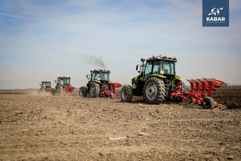 WhatsApp Image 2026-02-10 at 14.39.57