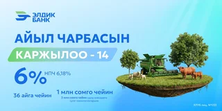 WhatsApp Image 2026-02-10 at 15.46.14.jpeg