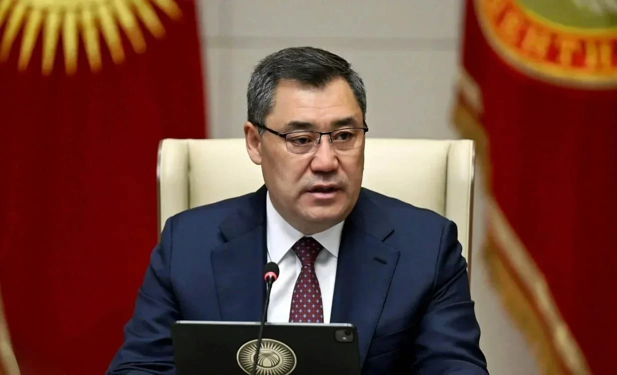 WhatsApp Image 2026-02-10 at 17.16.39.jpeg