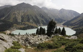 WhatsApp Image 2026-02-11 at 08.19.32.jpeg