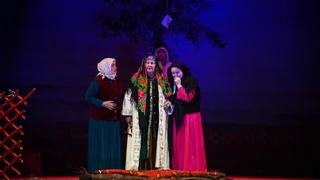 WhatsApp Image 2026-02-11 at 14.26.18.jpeg