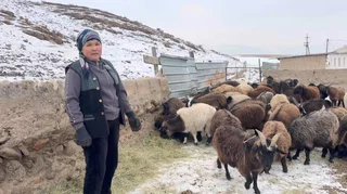 WhatsApp Image 2026-02-12 at 10.00.10 (2).jpeg