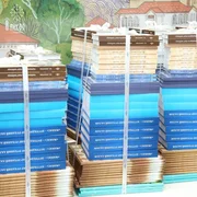 WhatsApp Image 2026-02-16 at 10.10.59.jpeg