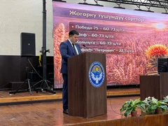 WhatsApp Image 2026-02-18 at 12.41.15.jpeg