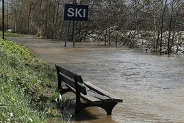 WhatsApp Image 2026-02-19 at 08.40.44.jpeg