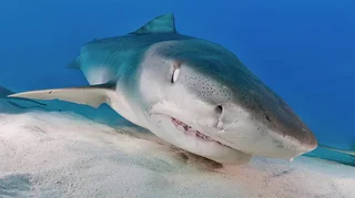 WhatsApp Image 2026-02-19 at 09.06.21.jpeg