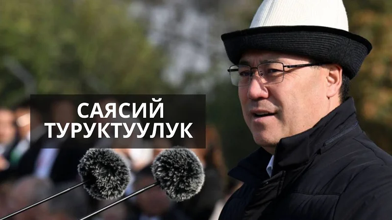 WhatsApp Image 2026-02-20 at 16.48.47 (1).jpeg