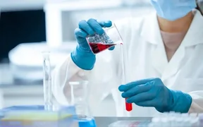 WhatsApp Image 2026-02-23 at 06.45.06.jpeg