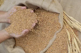 WhatsApp Image 2026-02-24 at 11.37.11.jpeg