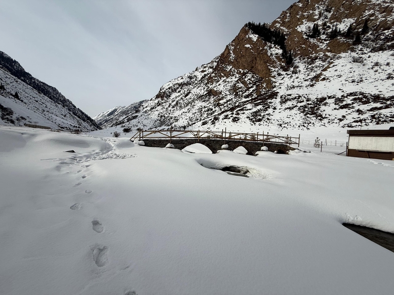 WhatsApp Image 2026-03-05 at 08.51.01.jpeg